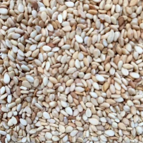 Ajonjolí Dorado (Sésamo)