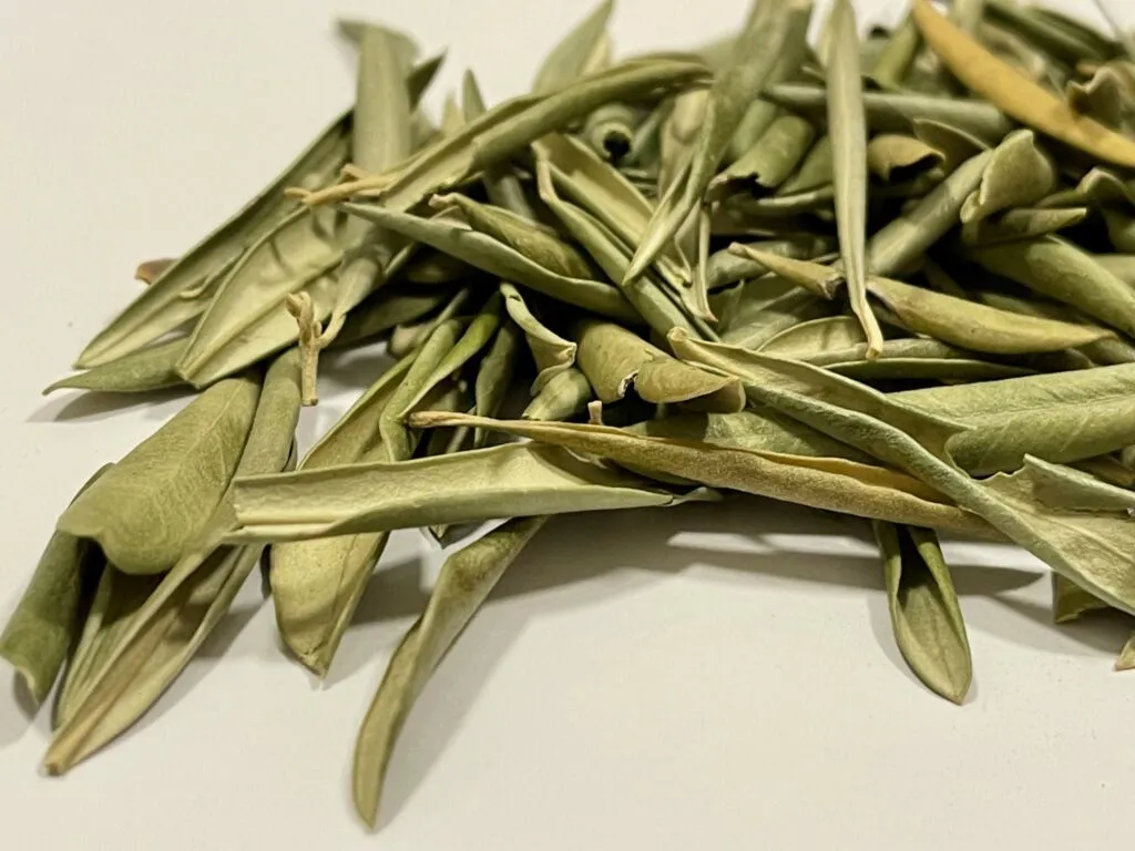 OLIVO HOJA CORTADA PARA INFUSIÓN