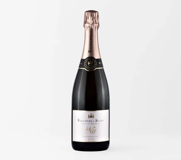 RAVENTOS de Nit Rosado Brut 2022 1.5 ltr. magnum biod