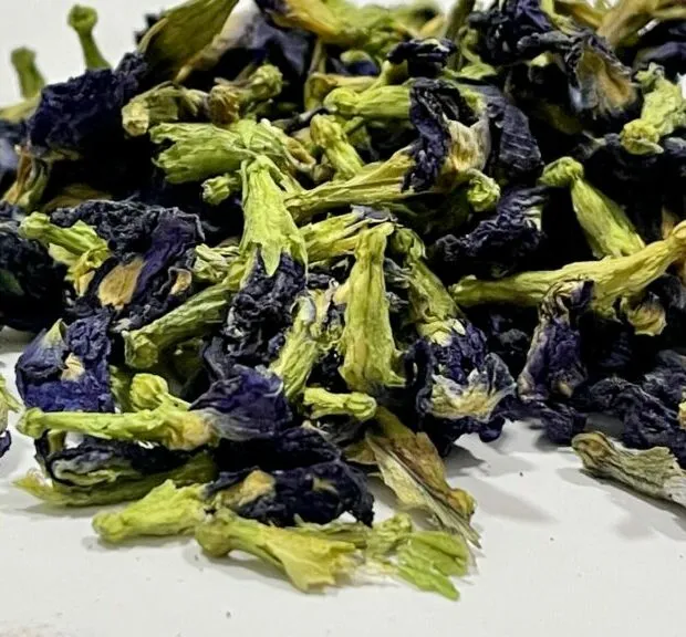 FLOR GUISANTE DE MARIPOSA AZUL BIO