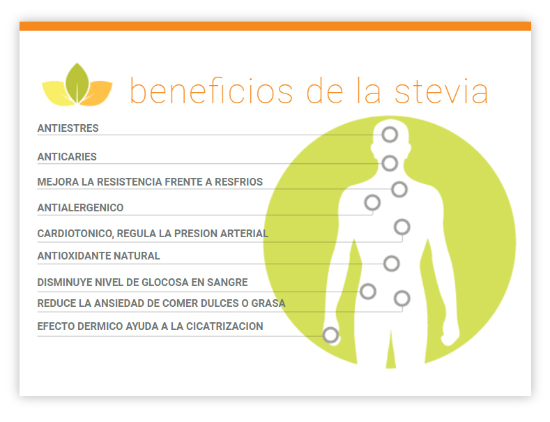 STEVIA DE 100 SOBRES 50GR DULRI - Imagen 3