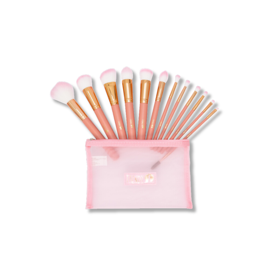 Kit x12 Brochas Maxi Rose Trendy