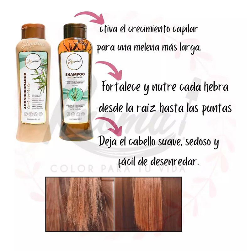 Kit Shampoo + Acond Romero Crecepelo Anyeluz - Imagen 2